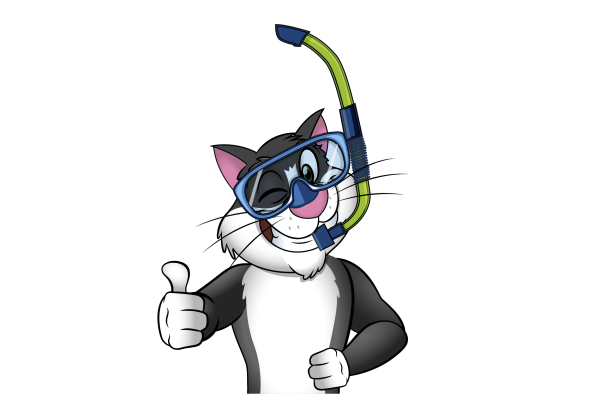 Silvester -Snorkelen 600x400